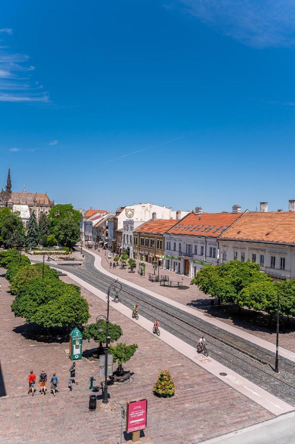 Premium Apt Kosice Center 3 Room 150M2 Hlavna Ulica Екстериор снимка